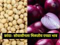 Market Yard: आज सकाळच्या सत्रात कांदा, सोयाबीनला काय मिळतोय भाव? - Marathi News | | Latest agriculture News at Lokmat.com