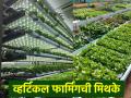Verticle farming: व्हर्टिकल फार्मिंगविषयी असणाऱ्या या तीन मिथकांचे करण्यात आले तज्ञांकडून खंडण - Marathi News | Verticle farming: These three myths about vertical farming are debunked by experts | Latest agriculture News at Lokmat.com