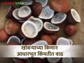 खोबऱ्याच्या किमान आधारभूत किंमतीला मंत्रिमंडळाची मंजुरी - Marathi News | Cabinet approves minimum base price of dry coconut copra | Latest agriculture News at Lokmat.com