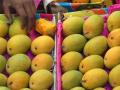 कोकणातील हापूस आंब्यापासून एसटी मालवाहतूकीस सुरुवात  - Marathi News | ST freight started from Hapus Mango in Konkan, says anil parab | Latest mumbai News at Lokmat.com