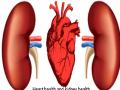 किडनी खराब व्हायला 'या' सवयी ठरतात कारणीभूत, वाचाल तरच वाचाल - Marathi News | Bad Causes habits to cause kidney failure myb | Latest health Photos at Lokmat.com