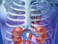 World Kidney Day 2022 : किडनी सांभाळा, लावा स्वतःला ५ महत्त्वाच्या सवयी! इथं चुकलात तर... - Marathi News | | Latest sakhi News at Lokmat.com