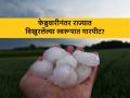 किकुलॉजी: थंडीत पिकांना बसतोय ‘कोल्ड शॉक’, काय होऊ शकतात परिणाम? - Marathi News | Kikulogy: Crop cold shock and hailstorm changes in February revels Prof Kirunkumar Johare | Latest agriculture News at Lokmat.com