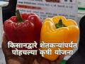 किसान एक्स्पोला शेतकऱ्यांचा चांगला प्रतिसाद, कृषी विभागाच्या योजनांचा लाभ  - Marathi News | Agricultural schemes reached farmers through Kisan Exhibition in Pune | Latest agriculture News at Lokmat.com