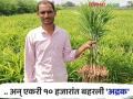 Ginger Farming Success Story : किशोररावांच्या आले शेतीची चर्चा भारी; जैविक निविष्ठांची कमाल सारी - Marathi News | | Latest agriculture News at Lokmat.com