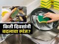 किती दिवसांनी बदलायला हवी भांडी घासायची घासणी किंवा स्पंज, घाणेरड्या घासणीने पाहा कोणते आजार होतात.. - Marathi News | Kitchen Cleaning Tips : How many days should the dishwashing sponge be changed | Latest sakhi News at Lokmat.com