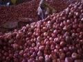 Onion: निर्यातबंदी निर्णयामुळे कांदा उत्पादकांचे आर्थिक गणित काेलमडले - Marathi News | Onion: Due to the decision to ban exports, the economic calculus of onion producers has collapsed | Latest agriculture News at Lokmat.com