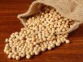 Soybean Market: लातूरच्या पिवळ्या सोयाबीनला मिळतोय सध्या एवढा भाव, उर्वरित ठिकाणी काय स्थिती? - Marathi News | Soybean Market: Latur's yellow soybeans are fetching such a price, what is the situation in other places? | Latest agriculture News at Lokmat.com