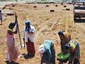 कोकण विभागात मनरेगाच्या २,१७0 कामांना सुरुवात - Marathi News | Start of 2,170 MGNREGA works in Konkan division | Latest raigad News at Lokmat.com