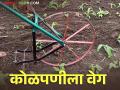 मजूर मिळत नसल्याने इर्जिक पद्धतीने शेतात कोळपणी - Marathi News | Due to non-availability of labour, intercultural operation done by help farmers each other | Latest agriculture News at Lokmat.com