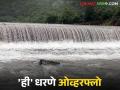 कोल्हापूर जिल्ह्यातील 'ही' चार धरणे १०० टक्के भरली; इतर धरणांत किती पाणीसाठा? - Marathi News | 'These' four dams in Kolhapur district are 100 percent full; How much water is stored in other dams? | Latest agriculture News at Lokmat.com