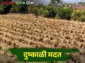 कोल्हापूर जिल्ह्यात या तालुक्यातील शेतकऱ्यांना मिळणार ११.६९ कोटींची दुष्काळी मदत - Marathi News | In Kolhapur district, the farmers of this taluka will get drought relief worth 11.69 crores | Latest agriculture News at Lokmat.com