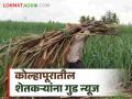 नियमित कर्ज परतफेड करणाऱ्या ऊस शेतकऱ्यांच्या प्रोत्साहनपर अनुदानाचा तिढा सुटला - Marathi News | Incentive subsidy for sugarcane farmers who make regular loan repayments is solved | Latest agriculture News at Lokmat.com