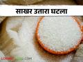 कोल्हापूर विभागाच्या साखर उताऱ्यात घट; शेतकऱ्यांना बसेल का याचा फटका - Marathi News | Decline in sugar recovery of Kolhapur Division; Will farmers get affect on payment? | Latest agriculture News at Lokmat.com