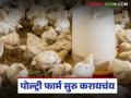 Poultry Farm : पोल्ट्री फार्म सुरु करताय, 'या' आहेत सर्वात जास्त अंडे देणाऱ्या कोंबड्या, वाचा सविस्तर - Marathi News | Latest news Kombdi Palan Chickens that lay most eggs in poultry farms, read in detail | Latest agriculture News at Lokmat.com