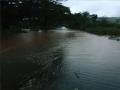 Rain Update: कोकणात पावसाचे थैमान, नद्या-नाल्यांना पूर; गगनबावडा-कोल्हापूर मार्ग ठप्प - Marathi News | Heavy rains in Konkan, Gaganbawda-Kolhapur road blocked | Latest sindhudurga News at Lokmat.com