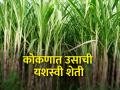 केळवलीतील विलास हर्याण यांचा कोकणात ऊस लागवडीचा यशस्वी प्रयोग - Marathi News | Successful experiment of sugarcane cultivation in Konkan by Vilas Haryan of Kelawali | Latest agriculture News at Lokmat.com