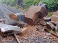 पावसाचा फटका; कोकण रेल्वे मार्गावर कोसळली दरड, वाहतूक विस्कळीत - Marathi News | landslides on Konkan railway line, traffic disrupted | Latest ratnagiri News at Lokmat.com