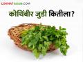 Kothimbir Bajarbhav : कोथिंबीर जुडीला काय भाव मिळतोय? जाणून घ्या आजचे बाजारभाव - Marathi News | Latest News Todays Kothimbir bajarbhav in nashik market yard check here details | Latest agriculture News at Lokmat.com