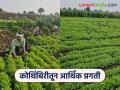 Farmer Success Story : ३० गुंठ्यातून चार लाखांचे उत्पन्न; कोथिंबिरीच्या शेतीतून युवा शेतकऱ्याची 'आर्थिक क्रांती' वाचा सविस्तर - Marathi News | latest news Farmer Success Story: Income of four lakhs from 30 gunthas; Read the 'economic revolution' of a young farmer through coriander farming in detail | Latest agriculture News at Lokmat.com