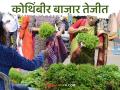 Kothimbir Market : नाशिक बाजारात कोथिंबीर जुडीला काय बाजारभाव? जाणून घ्या सविस्तर  - Marathi News | Latest News Kothimbir Market coriander judi market price in Nashik market Know in detail  | Latest agriculture News at Lokmat.com