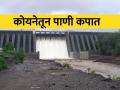 सिंचनासाठी कोयनेतून पाणी वापराला कपात - Marathi News | Reduction of water use from koyana dam for irrigation | Latest agriculture News at Lokmat.com