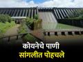 कोयनेतून सांगलीला तीन टीएमसी पाणी सोडणार - Marathi News | Three TMC of water will be released from Koyna dam to Sangli | Latest agriculture News at Lokmat.com