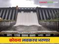 Koyna Dam Water Level: कोयनेची पाणीपातळी वाढली धरण भरण्यास फक्त इतक्या टीएमसी पाण्याची गरज - Marathi News | Koyna Dam Water Level: The water level of Koyna has increased, only so much TMC water is needed to fill the dam | Latest agriculture News at Lokmat.com