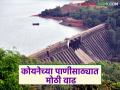 कोयना धरणात गतवर्षापेक्षा चौपट पाणी; धरणात झाला किती टक्के पाणीसाठा? - Marathi News | Koyna Dam has four times the water level compared to last year; What percentage of water has been stored in the dam? | Latest agriculture News at Lokmat.com