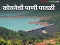 Koyna Dam कोयनेला ३१ मिलिमीटर पाऊस; धरणात आता किती टीएमसी पाणीसाठा - Marathi News | Koyna Dam 31 mm rain at Koyna; How much TMC water is stored in the dam now? | Latest agriculture News at Lokmat.com