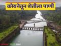 Koyna Dam Water Level : कोयनेसह साताऱ्यातील या धरणांतून सिंचनासाठी विसर्ग सुरु - Marathi News | Koyna Dam Water Level : Release water for irrigation from these dams in Satara district along with Koyna | Latest agriculture News at Lokmat.com