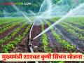 यंदा ठिबक सिंचन, तुषार सिंचन आणि वैयक्तिक शेततळ्यासाठी निधी मंजूर, वाचा सविस्तर - Marathi News | Latest News 400 crores of funds to implement the Agricultural Irrigation Scheme in the year 2024-25 | Latest agriculture News at Lokmat.com