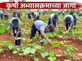 Agriculture Courses : कृषी शिक्षणाकडे कल घटतोय, राज्यात 'ॲग्री' अभ्यासक्रमात 18 टक्के जागा रिक्त - Marathi News | Latest News agriculture courses 18 percent seats in 'Agri' course are vacant in maharashtra | Latest agriculture News at Lokmat.com
