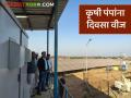 नाशिक जिल्ह्यातील कृषी पंपांना दिवसा वीज मिळणार, इथे उभारला 4 मेगावॅटचा सौर प्रकल्प - Marathi News | latest news 4-megawatt solar power project has been set up at Mohadi in Dindori taluka of Nashik district. | Latest agriculture News at Lokmat.com