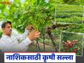 Nashik Cold Wave : नाशिकला थंडीची लाट, द्राक्ष, डाळिंब, हरभरा पिकासाठी महत्वाचा कृषी सल्ला  - Marathi News | Latest News Cold wave hits Nashik, important agricultural advisory for grapes, pomegranates, gram crops | Latest agriculture News at Lokmat.com