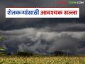 Krushi Salla: हवामान अलर्ट! पिकांची व फळबागांसाठी तातडीने करा 'या' उपाययोजना - Marathi News | latest news Krushi Salla: Weather alert! Take immediate measures for crops and orchards | Latest agriculture News at Lokmat.com