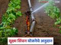 Krushi Sinchan Yojana : सूक्ष्म कृषी सिंचन योजनेच्या अनुदानाबाबत महत्वाचा शासन निर्णय, वाचा सविस्तर  - Marathi News | Latest News Krushi Sinchan Yojana Fund distribution for subsidy under micro irrigation scheme | Latest agriculture News at Lokmat.com