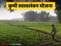 Krushi Swavalamban Yojana : कृषी स्वावलंबन योजनेत सहभागी व्हा; ९० टक्क्यांपर्यंत अनुदान मिळवा - Marathi News | Krushi Swavalamban Yojana : Participate in Agriculture Swavalamban Yojana; Get up to 90 percent subsidy | Latest agriculture News at Lokmat.com