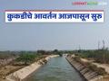 कुकडी डाव्या कालव्यातून आजपासून रब्बीचे आवर्तन; किती दिवस सुरु राहणार पाणी? - Marathi News | Rabi irrigation cycle from Kukdi left canal from today; How long will the water continue? | Latest agriculture News at Lokmat.com