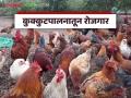 Poultry Farm : 80 हजार रूपयांतून उभारला कुक्कुटपालन व्यवसाय, आता महिन्याला.... - Marathi News | Latest news Poultry Farm Women from self-help group set up poultry farming business with Rs. 80 thousand | Latest agriculture News at Lokmat.com
