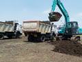कुरनूरमधील गाळ काढण्यासाठी गावकरी स्वयंप्रेरणेने सरसावले  - Marathi News | Villagers have volunteered to remove slurry in Kurnaur | Latest solapur News at Lokmat.com