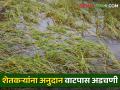 Crop Insurance सरकार देतेय पण शेतकरी घेईनात; केवायसी नसल्याने ७१ कोटी पडून - Marathi News | Government is giving but farmers will not take; 71 crore lost due to lack of KYC | Latest agriculture News at Lokmat.com