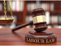Labour law: वेळेत पगार, ओव्हरटाइमसाठी दुप्पट पैसे, महिलांना समान वेतन; नवे कामगार कायदे लागू! - Marathi News | Historic Labour Reform: 4 New Labour Codes Enforced, Guaranteeing Social Security to 40 Crore Workers | Latest national News at Lokmat.com