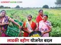 Ladli Behna Yojana मुख्यमंत्री माझी लाडकी बहीण योजनेचा लाभ अधिकाधिक महिलांना मिळण्यासाठी केले हे मोठे बदल - Marathi News | Ladli Behna Yojana: These major changes were made by Chief Minister Majhi Ladki Bahin Yojana to benefit more women | Latest agriculture News at Lokmat.com