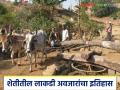 Wooden Farming Tools : लाकडी शेती अवजारे काळाच्या ओघात लुप्त... आधुनिक शेतीत इतिहास बनतायत पारंपरिक साधने! - Marathi News | latest news Wooden Farming Tools : Wooden farming tools disappear over time... Traditional tools are becoming history in modern agriculture! | Latest agriculture News at Lokmat.com