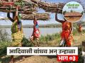 Agriculture News : 'उज्वलां'ची चूल विझली नाही, सरपण गोळा करण्याचं काम आजही केलं जातं! - Marathi News | Latest News Agriculture News Tribal brothers do the work of collecting firewood in summer | Latest agriculture News at Lokmat.com