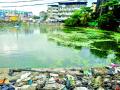 दुर्गंधीयुक्त तलावात गणेश विसर्जन - Marathi News | Ganesh immersion in a deodorant lake | Latest thane News at Lokmat.com