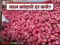 Kanda Bajarbhav : नाशिक, सोलापूरमध्ये लाल कांद्याची सर्वाधिक आवक, दर मात्र या मार्केटमध्ये मिळतोय?  - Marathi News | Latest News lal Kanda bajarbhav Nashik, Solapur markets have highest arrival of red onions | Latest agriculture News at Lokmat.com