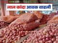 Kanda Market : नाशिक जिल्ह्यात लाल कांद्याची 82 हजार क्विंटल आवक, वाचा आजचे बाजारभाव   - Marathi News | Latest News Todays Kanda Bajarbhav 82 thousand quintals of red onion arrived in Nashik district | Latest agriculture News at Lokmat.com