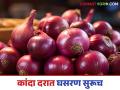 Kanda Market Update : लाल कांदा दरात पुन्हा घसरण, सोलापूर, लासलगाव बाजारात किती रुपयांनी घसरले?  - Marathi News | Latest News lal kanda bajarbhav Red onion prices fall again, see Solapur, Lasalgaon kanda markets | Latest agriculture News at Lokmat.com